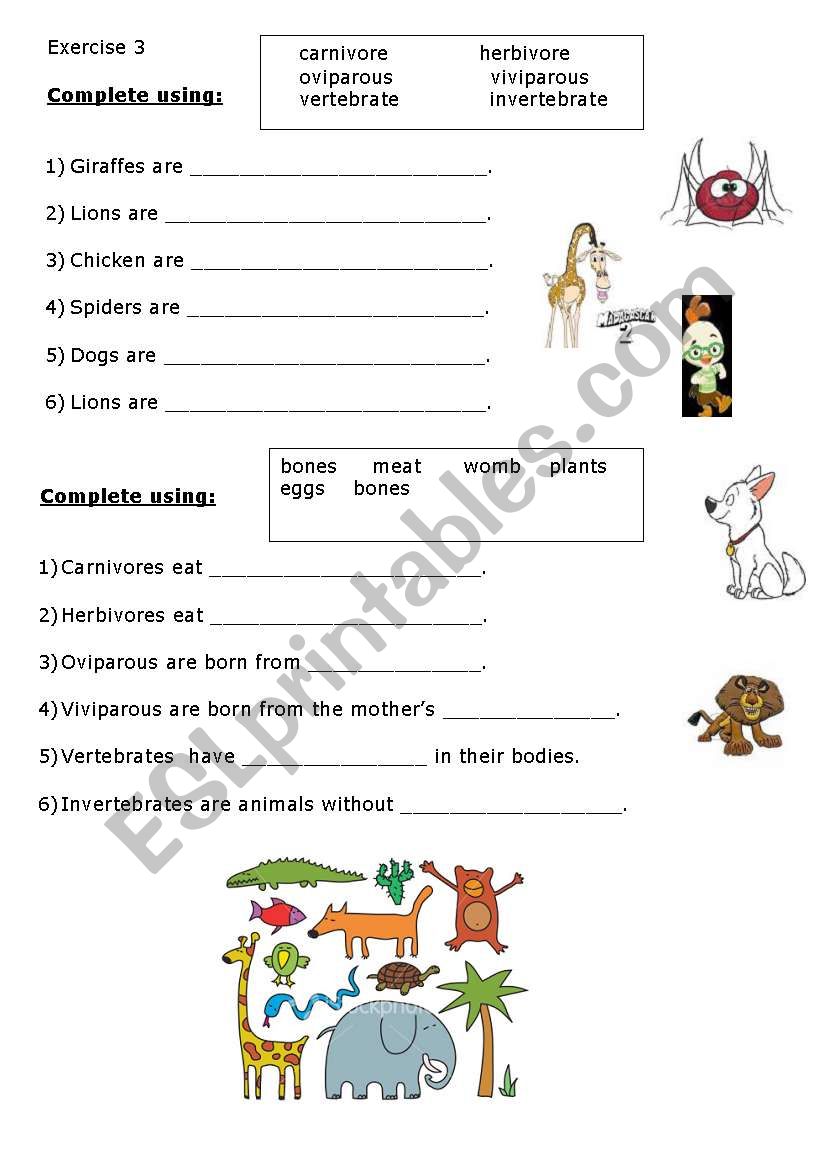 Classify the animals worksheet