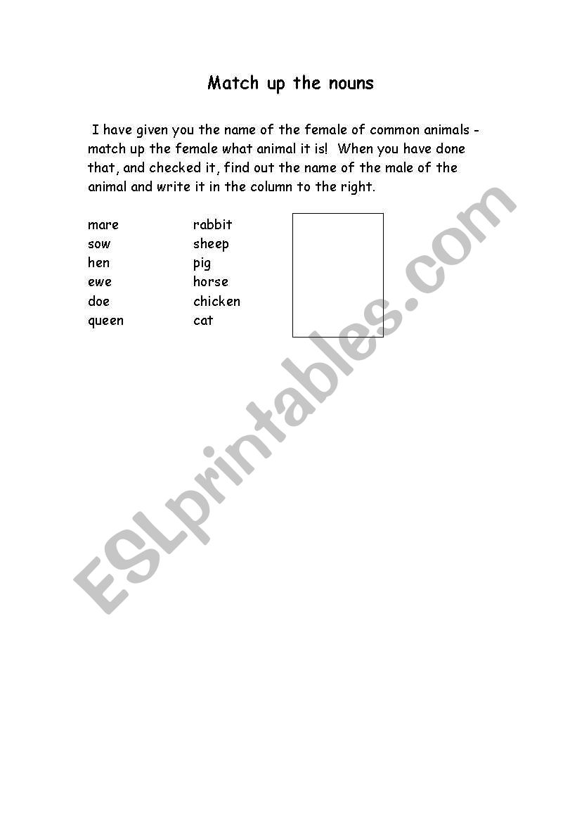 matching the nouns worksheet