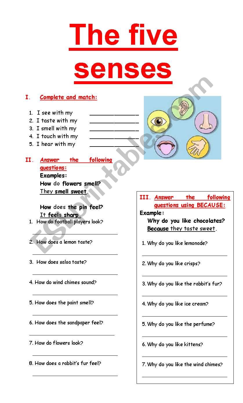 The five senses worksheet