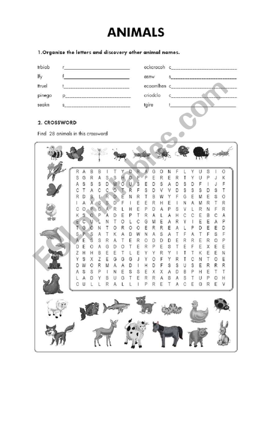 ANIMALS worksheet