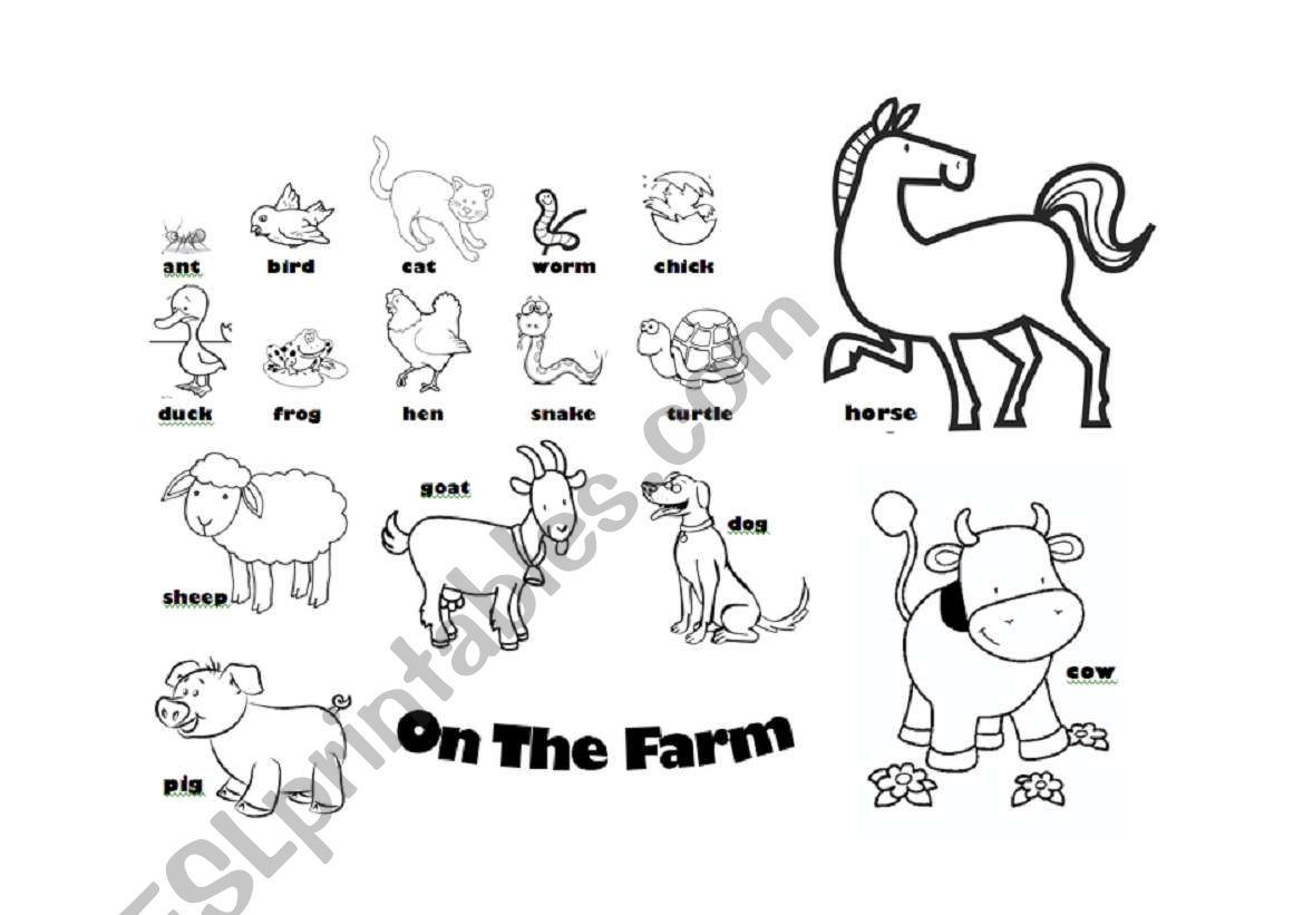 Animals: On The Farm worksheet
