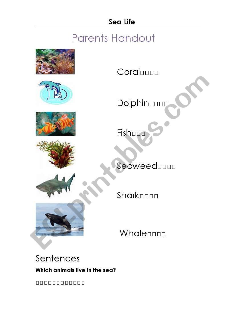 Sea Life worksheet