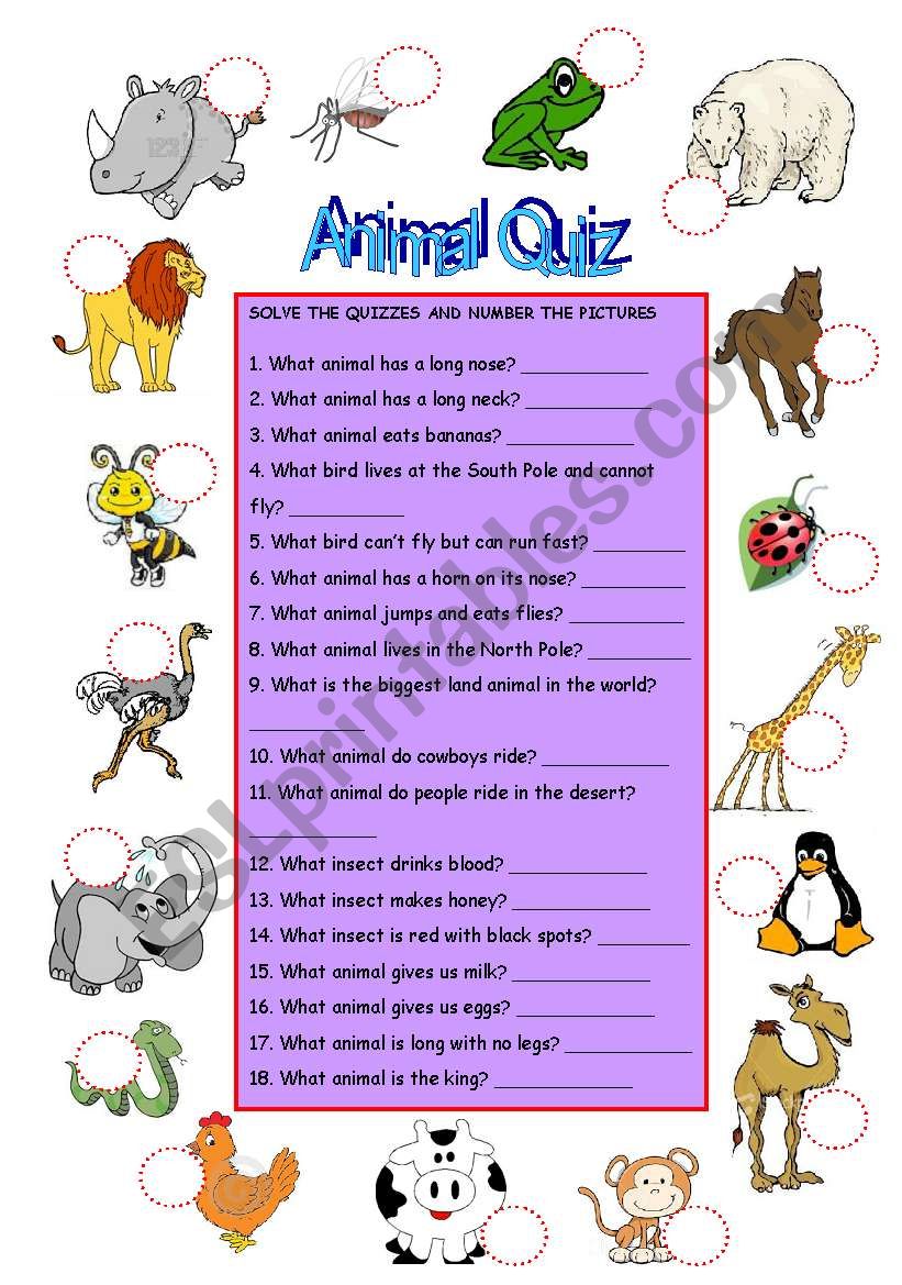 ANIMAL QUIZ worksheet