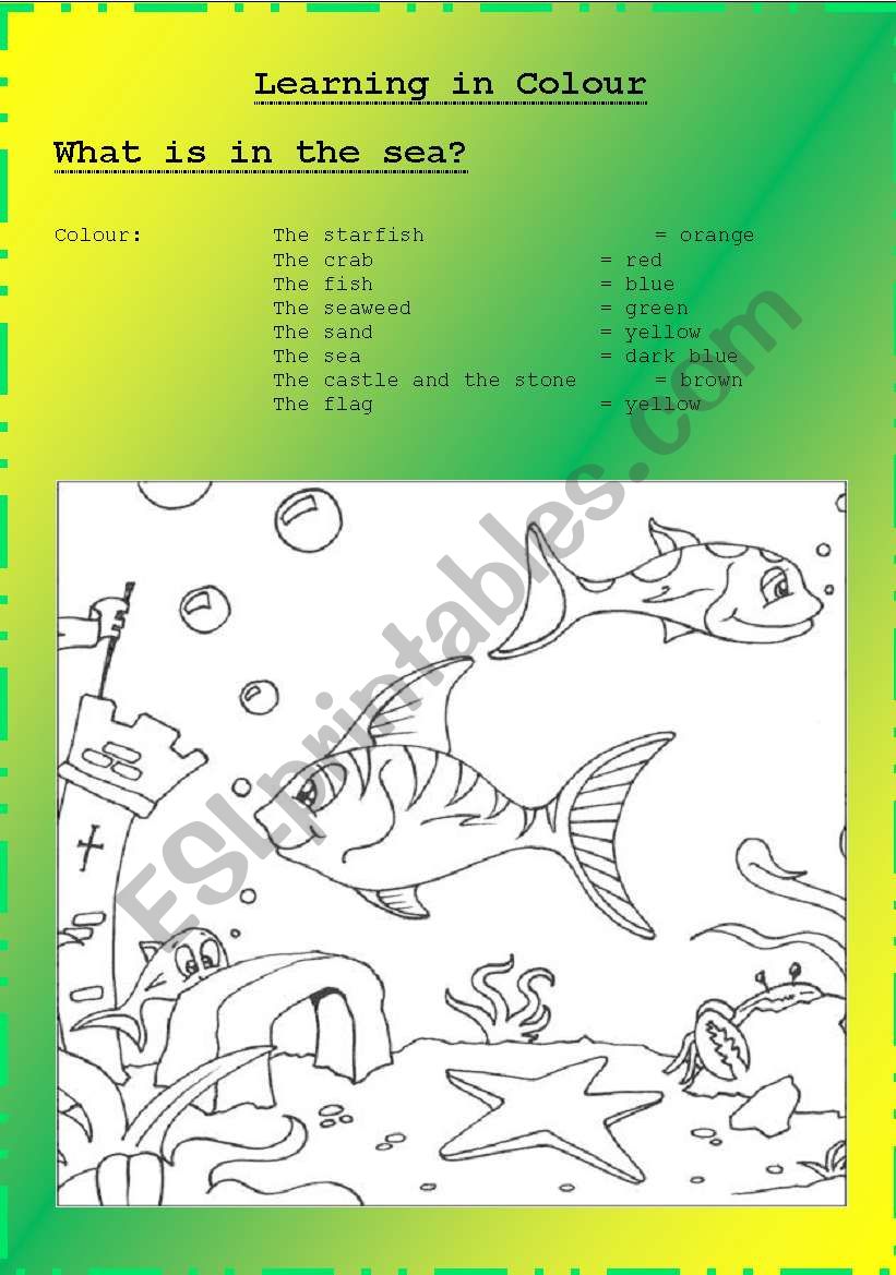 Whats in the sea? - Learning new words related to the sea through colouring