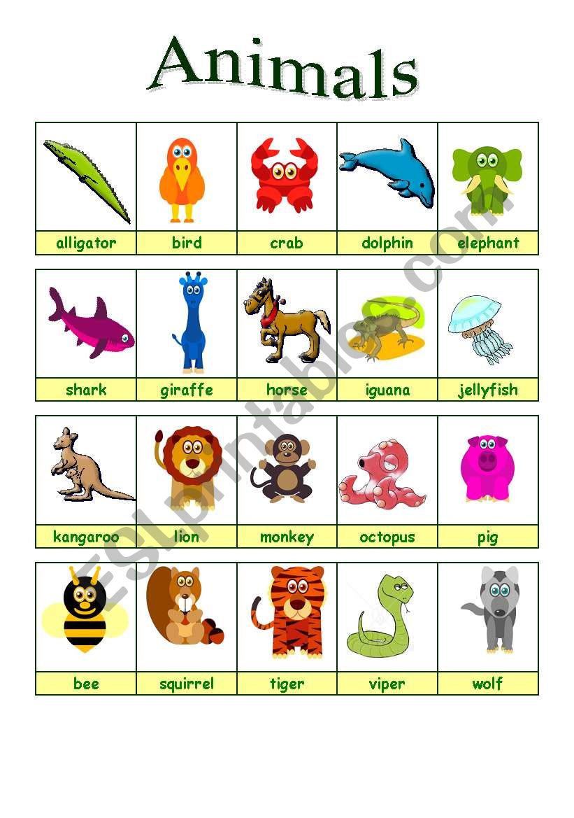 Animals 1/2 (26.08.09) worksheet