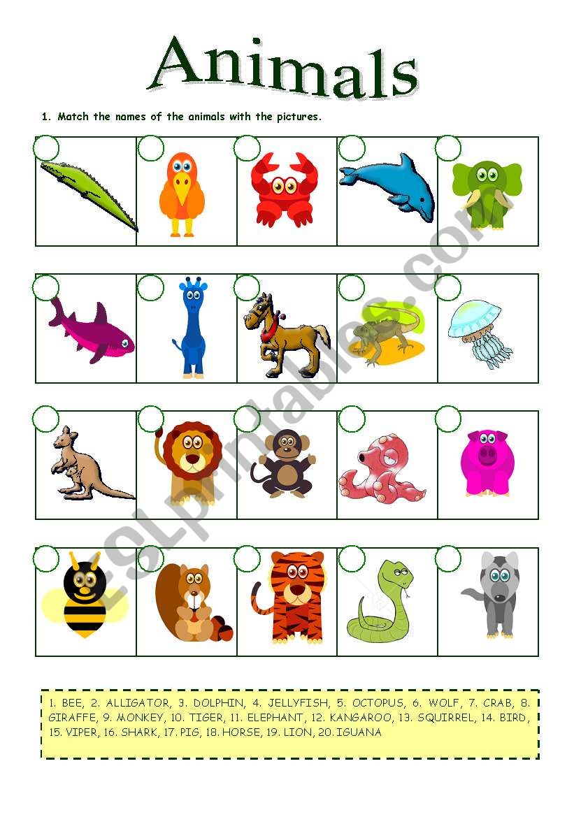 Animals (26.08.09) worksheet