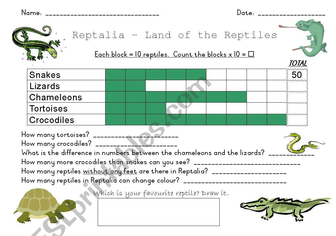 Reptile Graph worksheet
