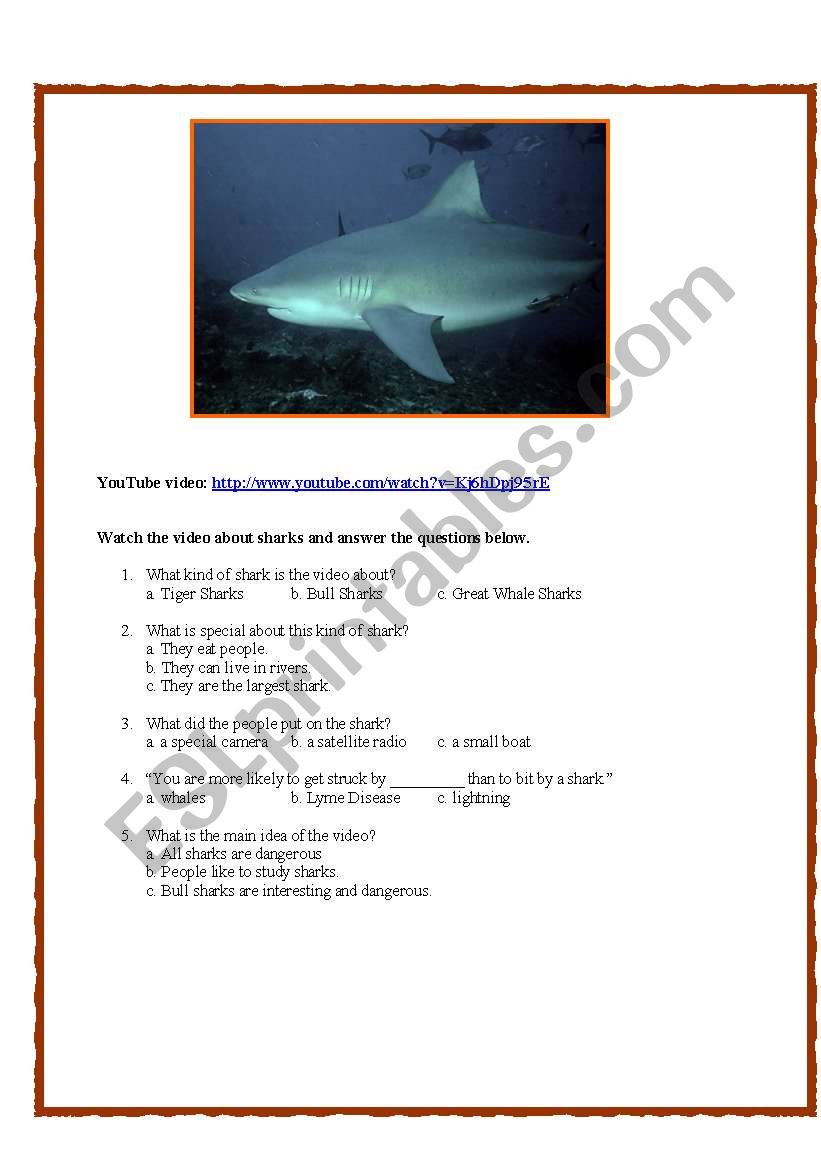 Bull Sharks Video and Listening Comprehension