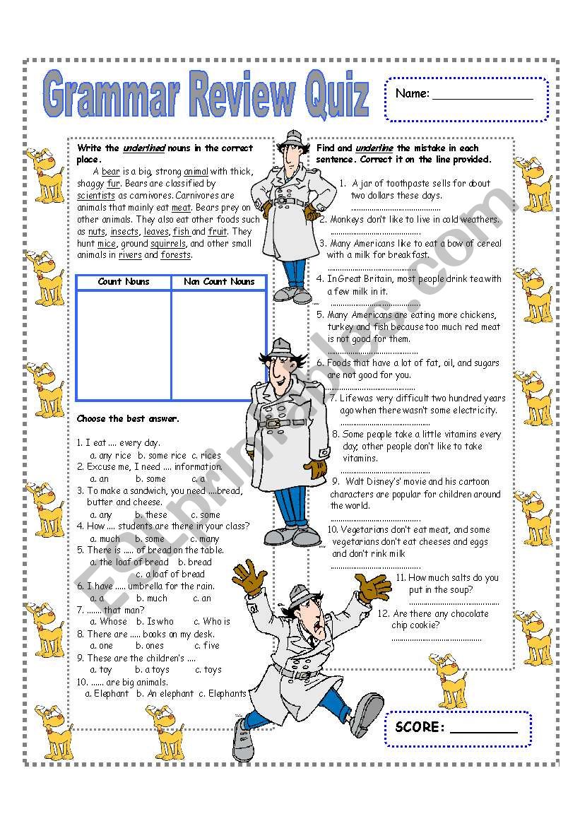 GRAMMAR REVIEW- A - AN - COUNT - NON COUNT NOUNS - PARTITIVES (4/4)