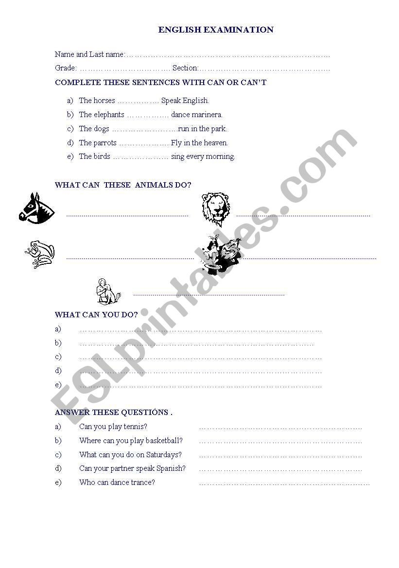 what can you do? worksheet