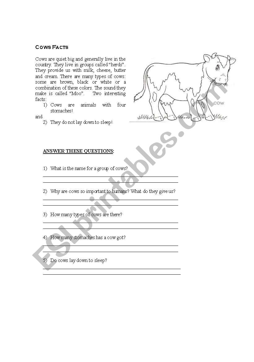 Cow Facts worksheet