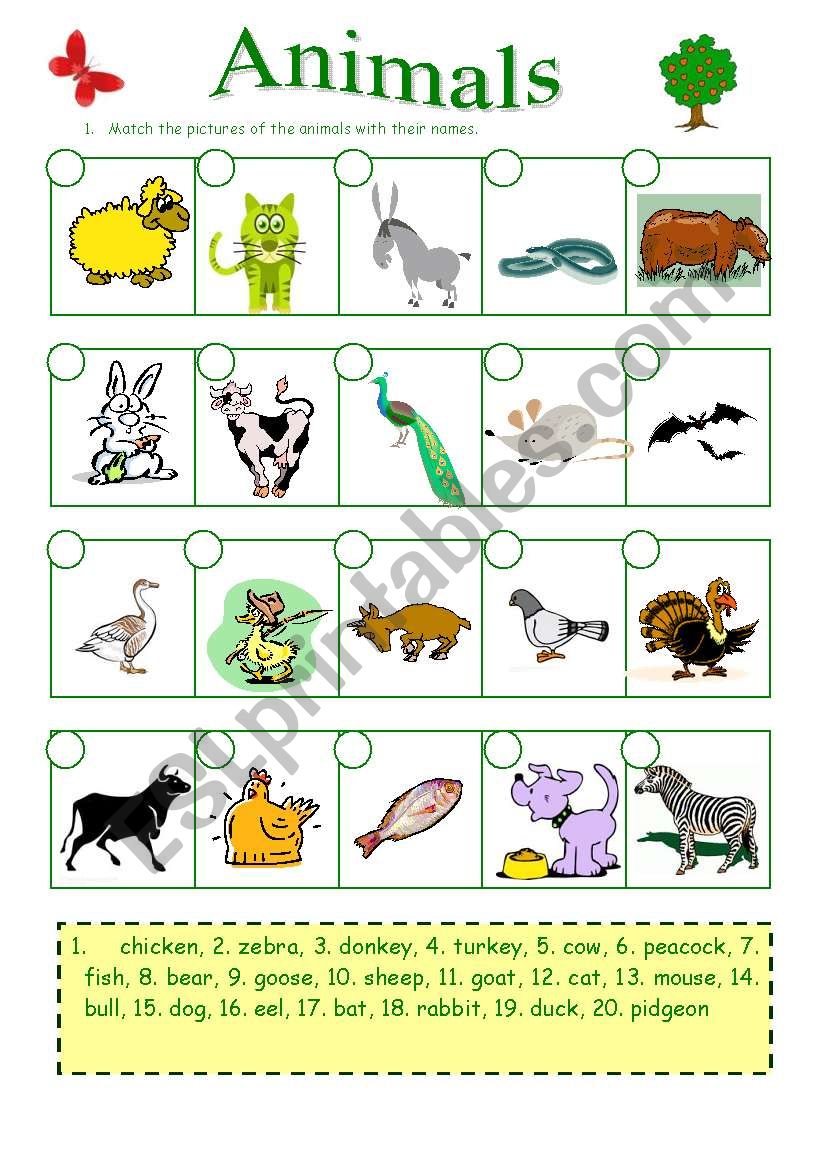 Animals (27.08.09) worksheet