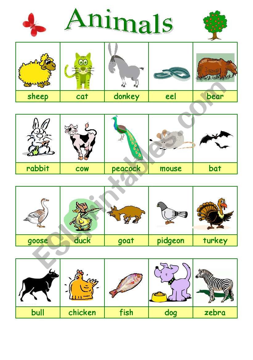 Animals 2/2 (27.08.09) worksheet