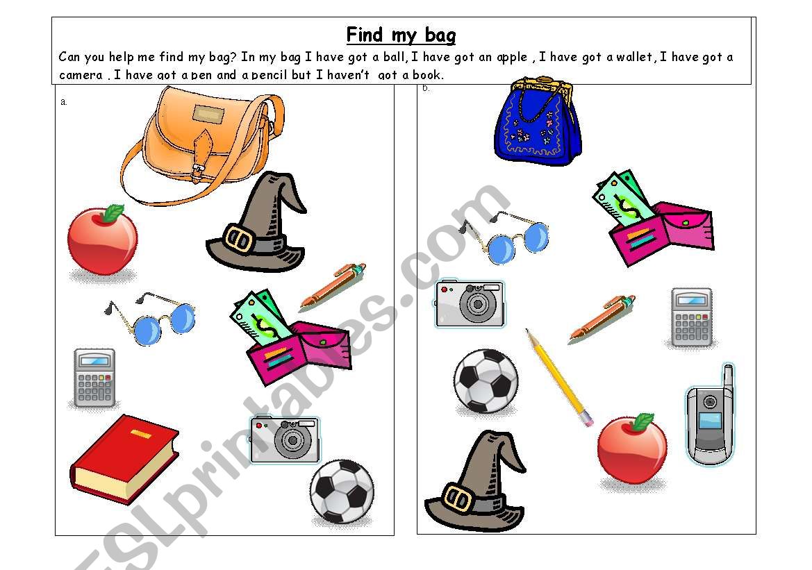 Find my bag -have got worksheet