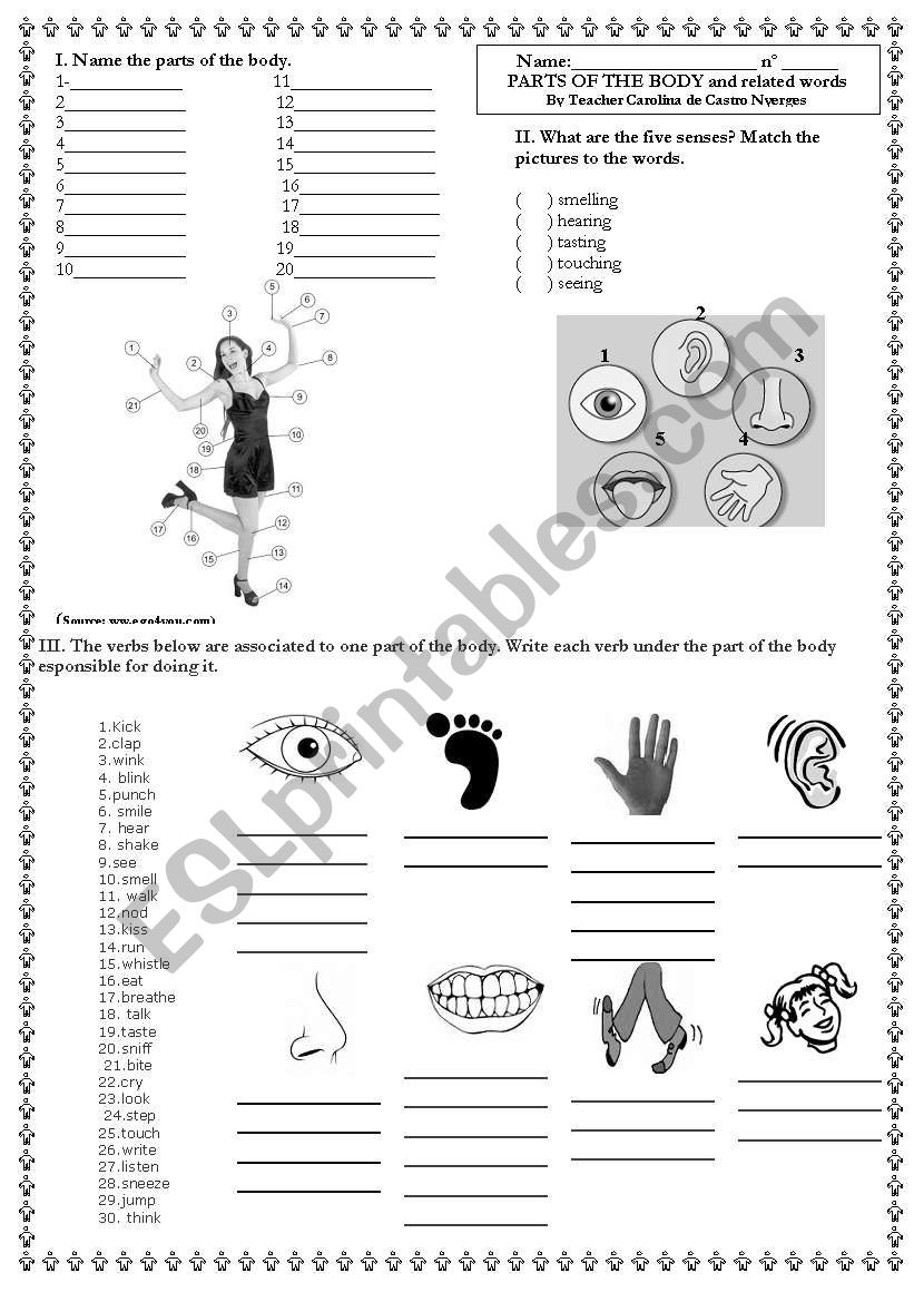 Parts of the body and related words