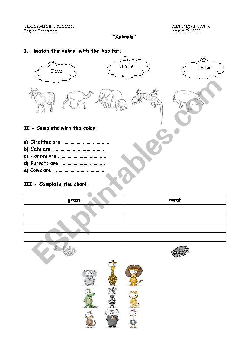 animals worksheet