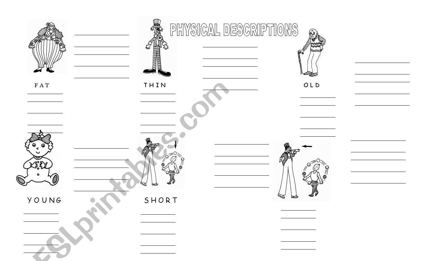 Physical description worksheet