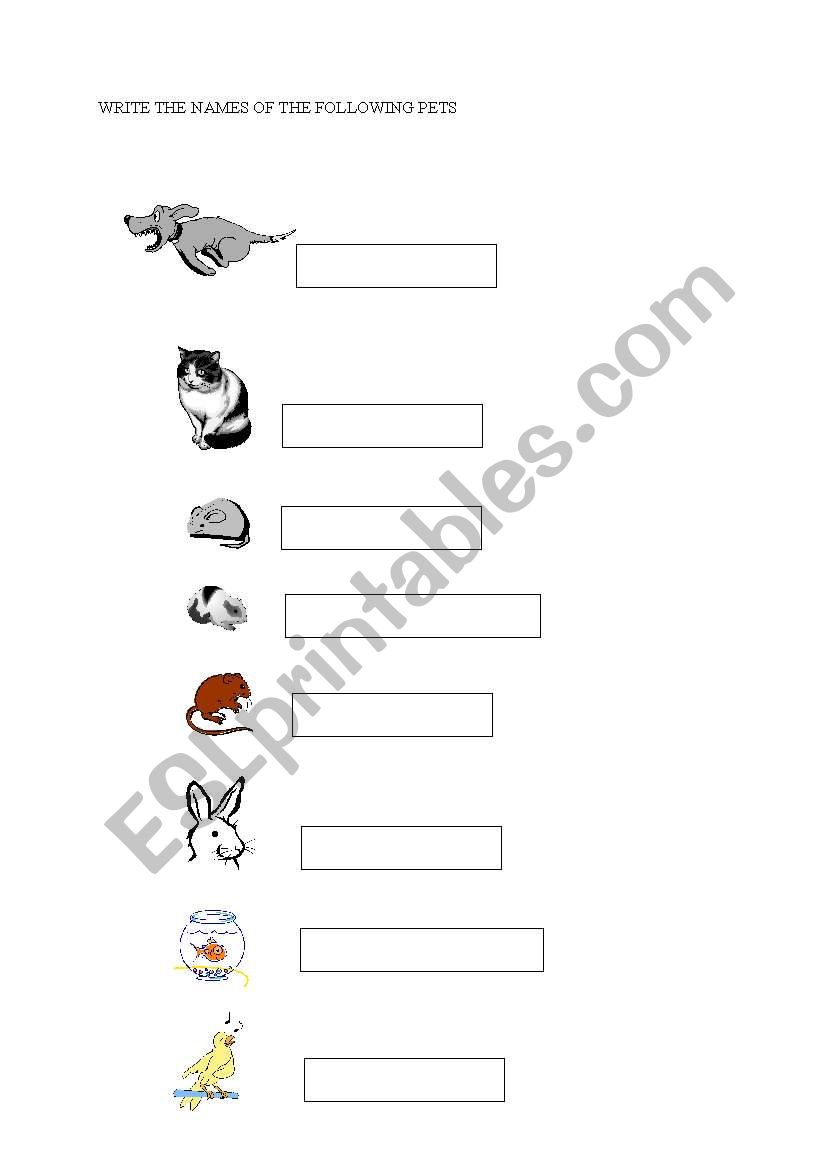 PETS worksheet