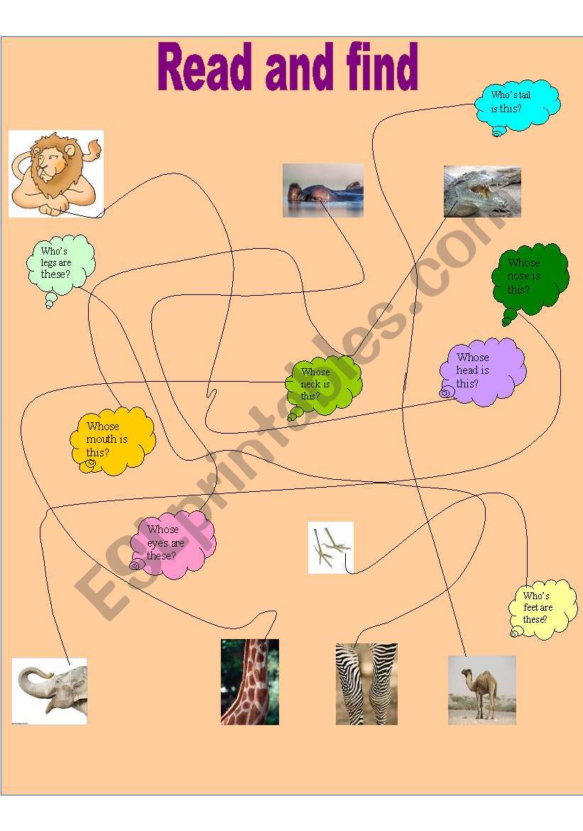 guess the animal worksheet