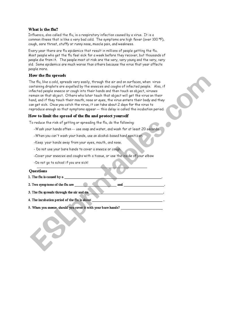 the Flu worksheet