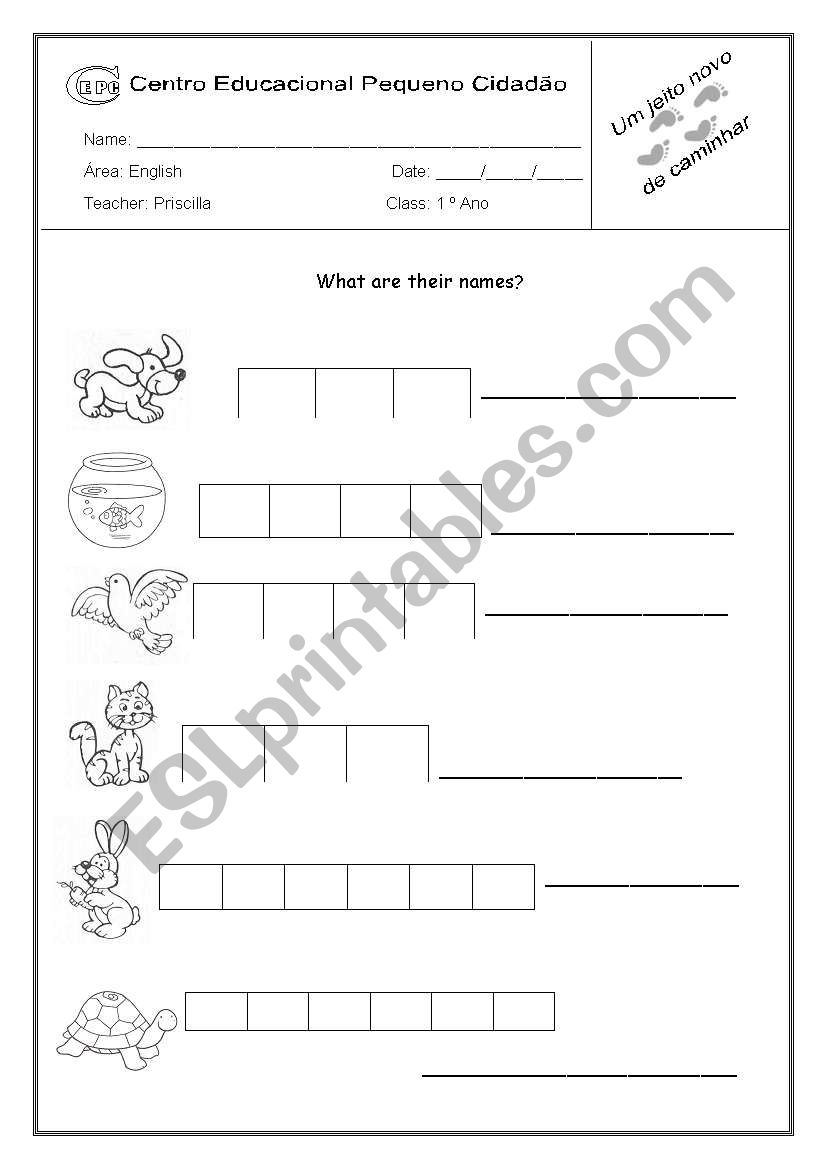 Animals complete worksheet