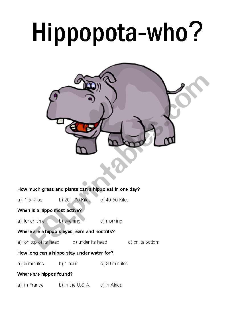 Zoo - Hippo worksheet worksheet