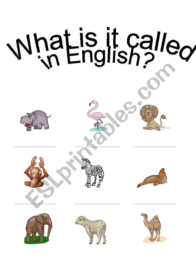 Zoo - Whats it called? worksheet