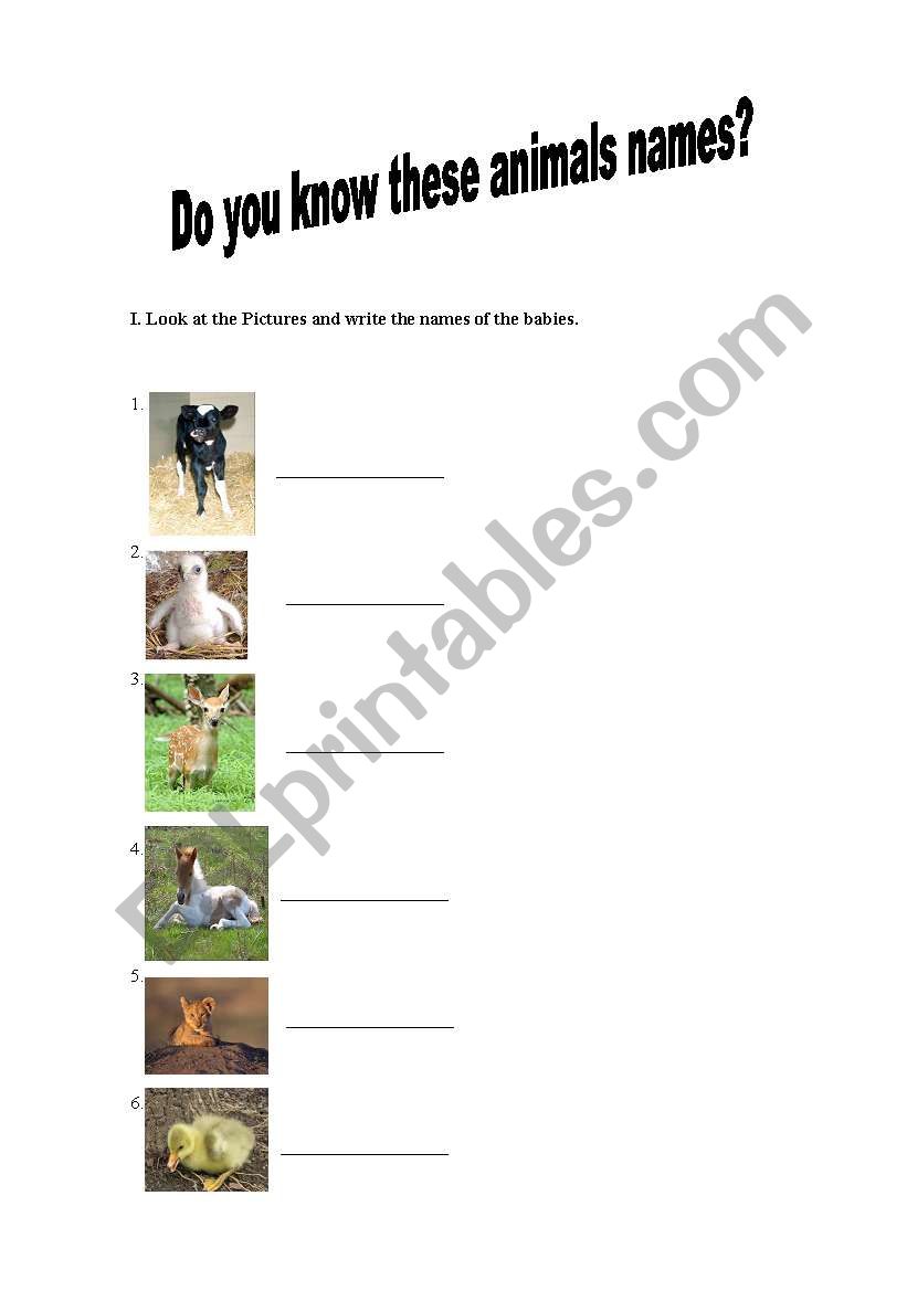 Do you know these animals names?