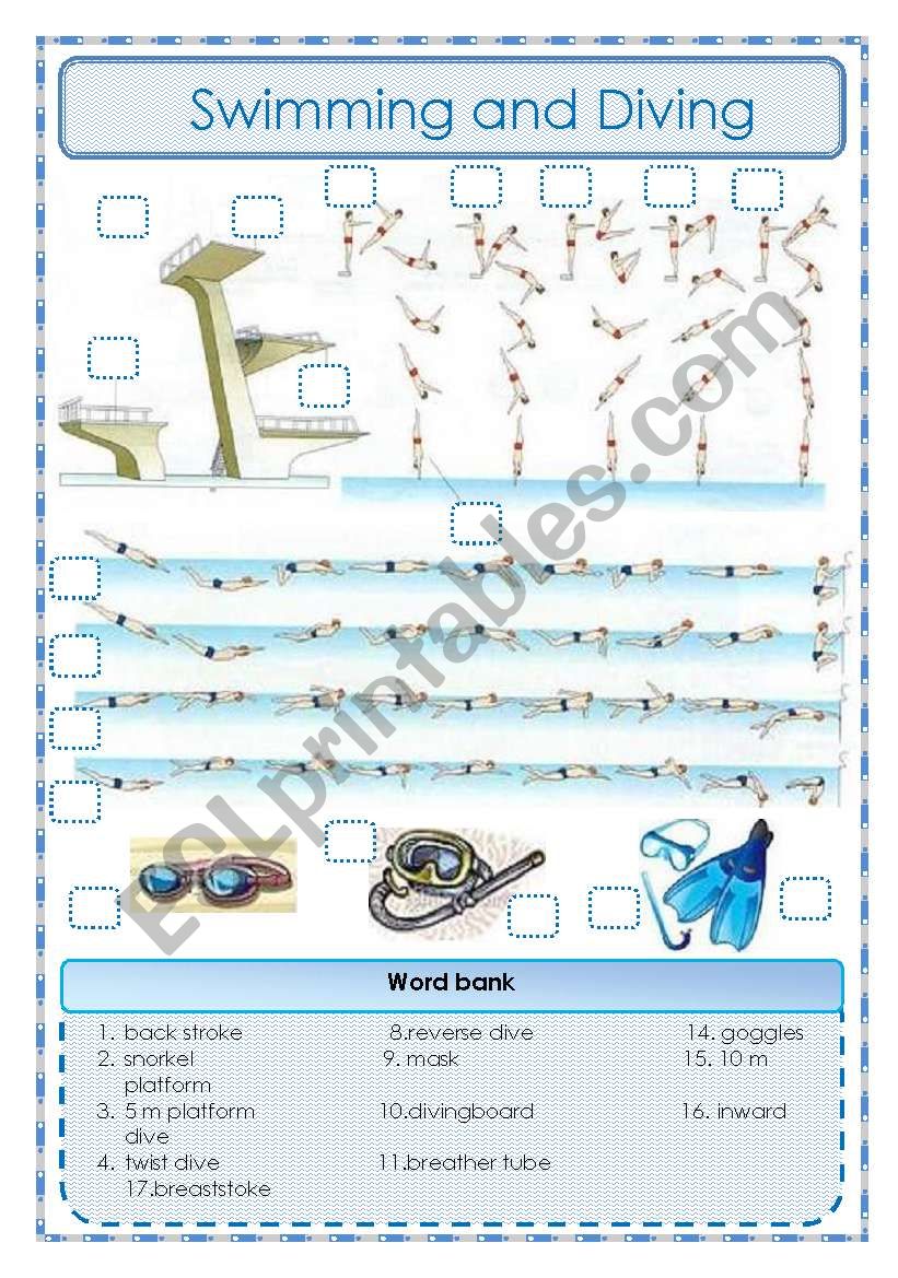 Swimming and Diving - matching exercise