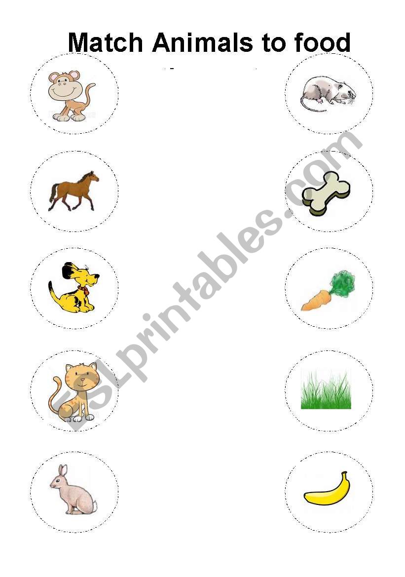 animals and food they eat - ESL worksheet by Barkha