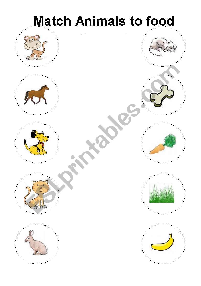 Do they like animals. Food for animals Worksheets for Kids. What animals eat Worksheet. Animals eat Worksheets. Animals food Worksheets.