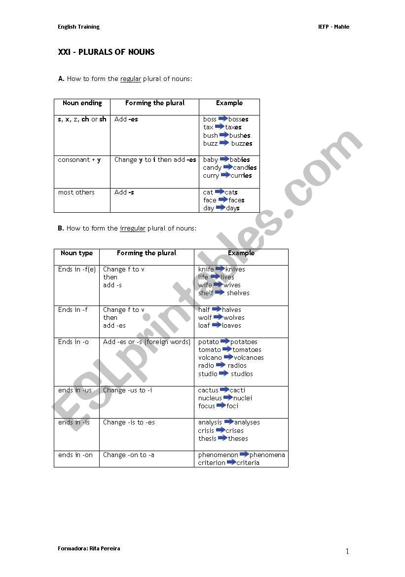 Plurals of nouns  worksheet