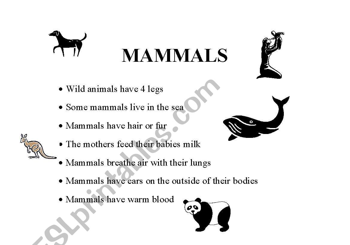 Animals: Mammals, Reptiles, Amphibians, Fish, Birds