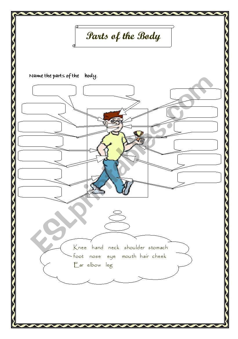 body parts worksheet