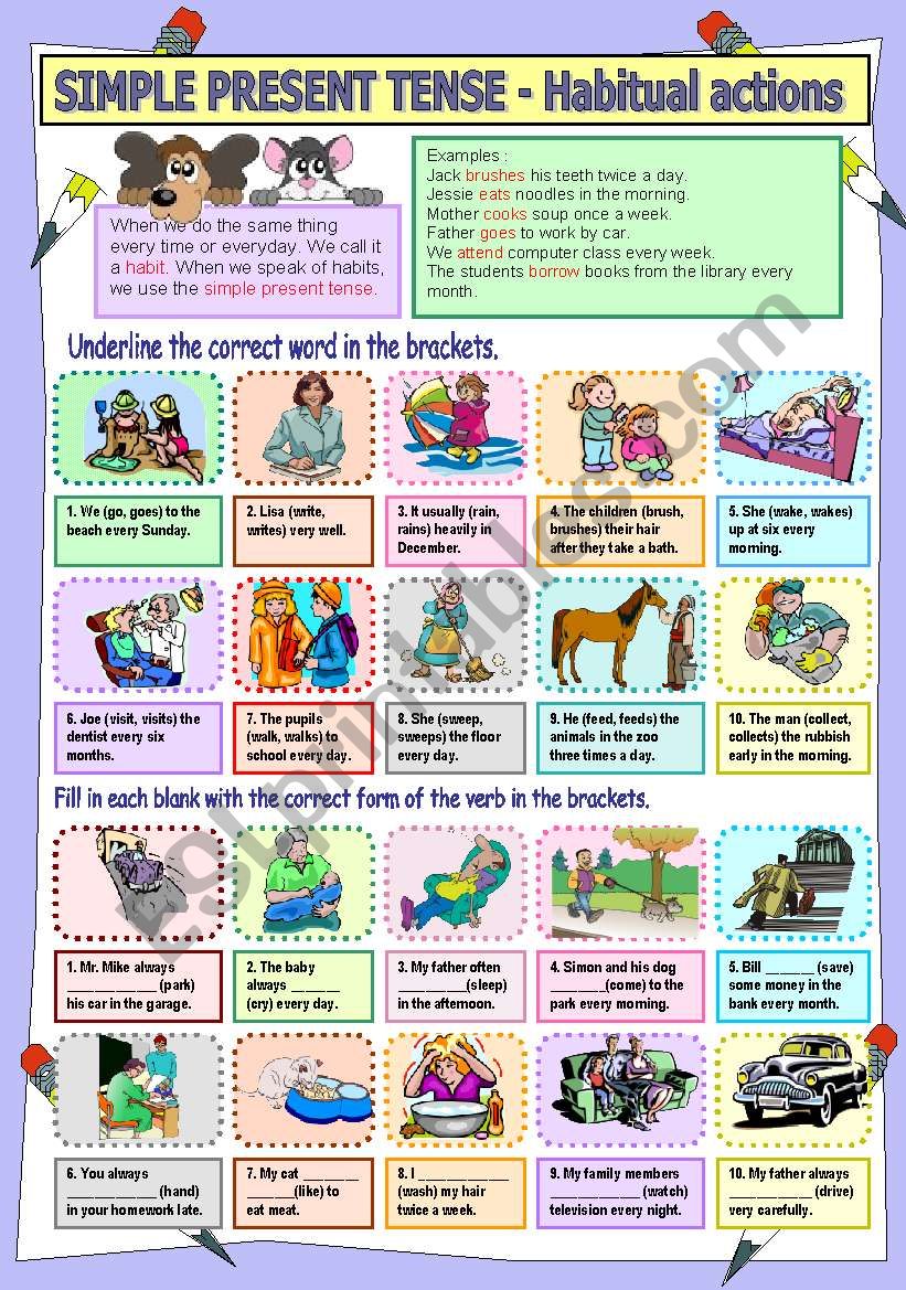 Simple Present Tense - Habitual actions