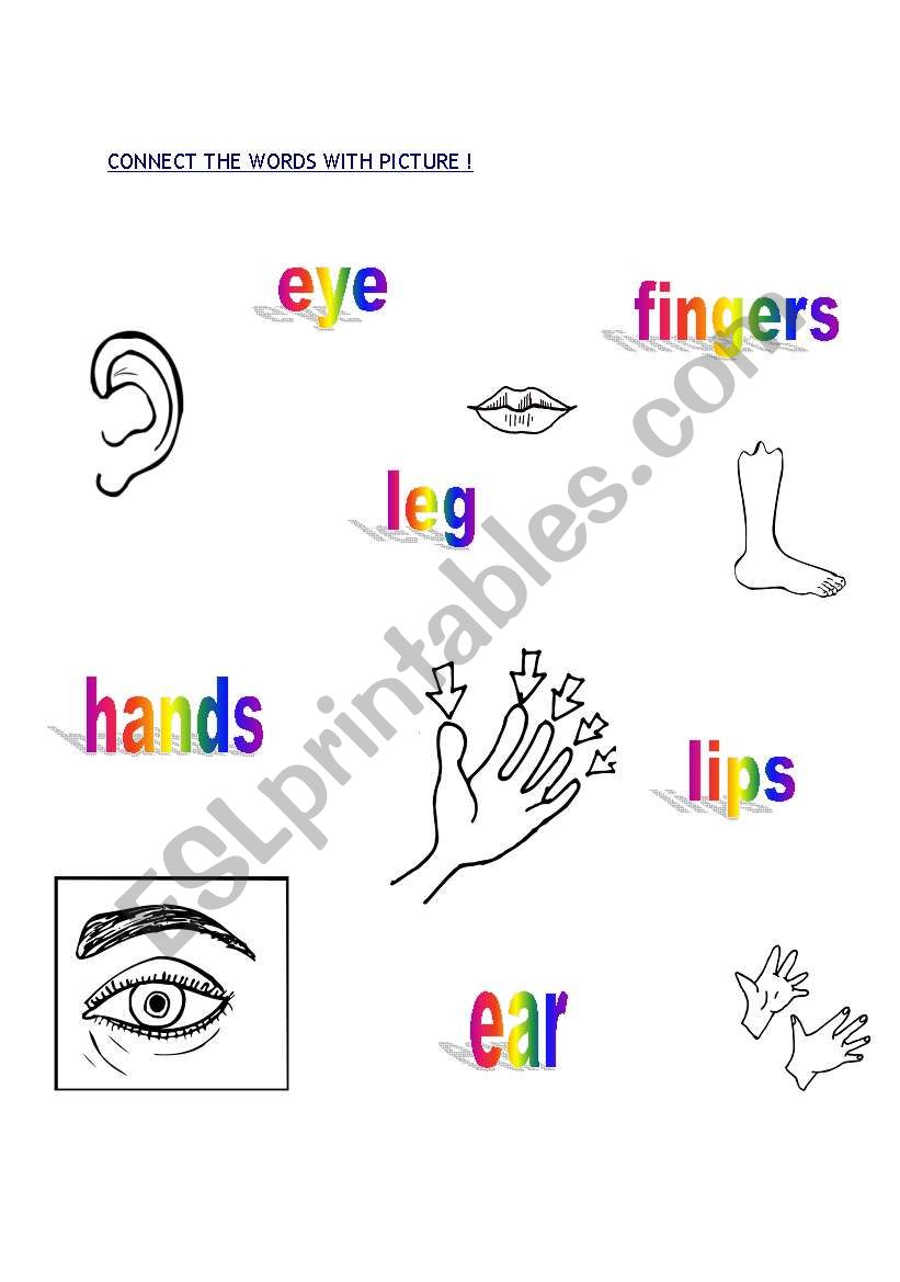 PARTS OF BODY worksheet