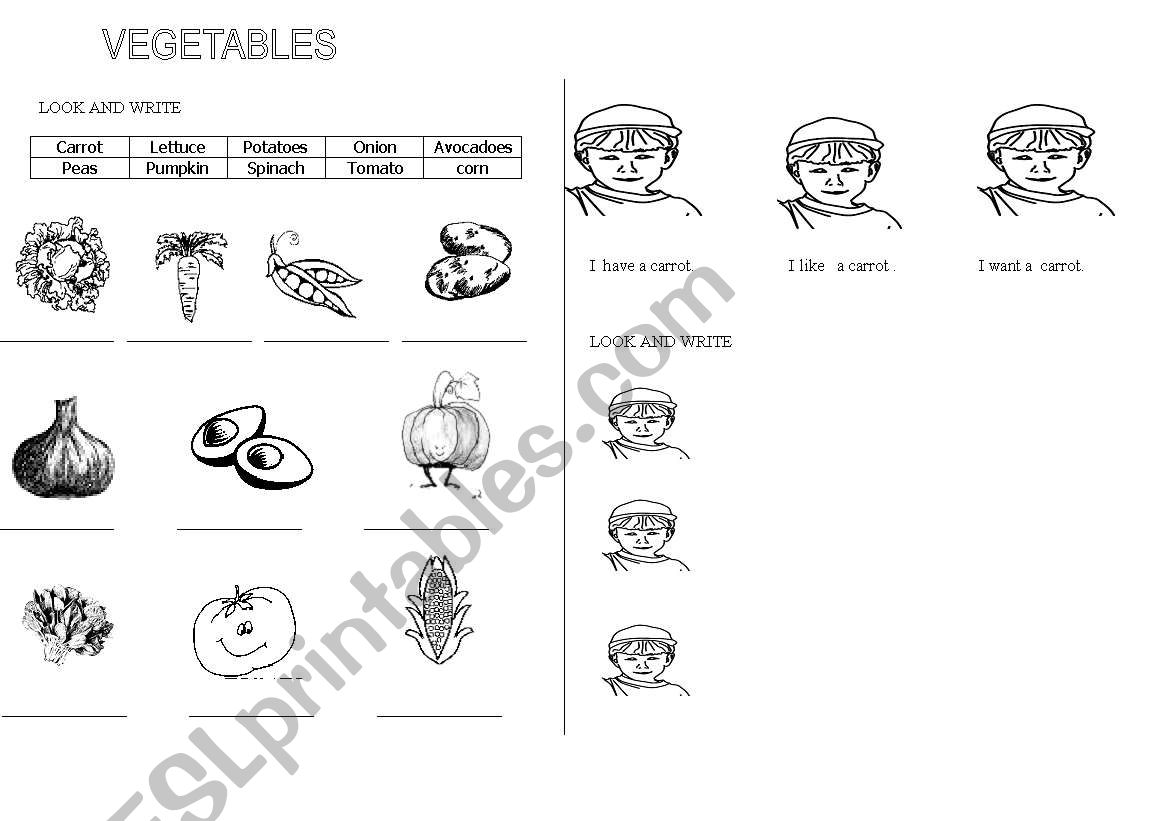 vegetables worksheet