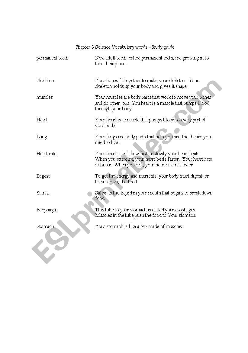 2nd grade Chapter 3 science vocabulary words