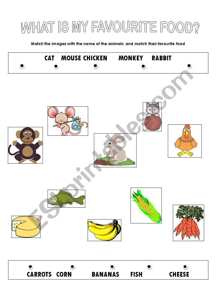 animals- favourite food 1 worksheet