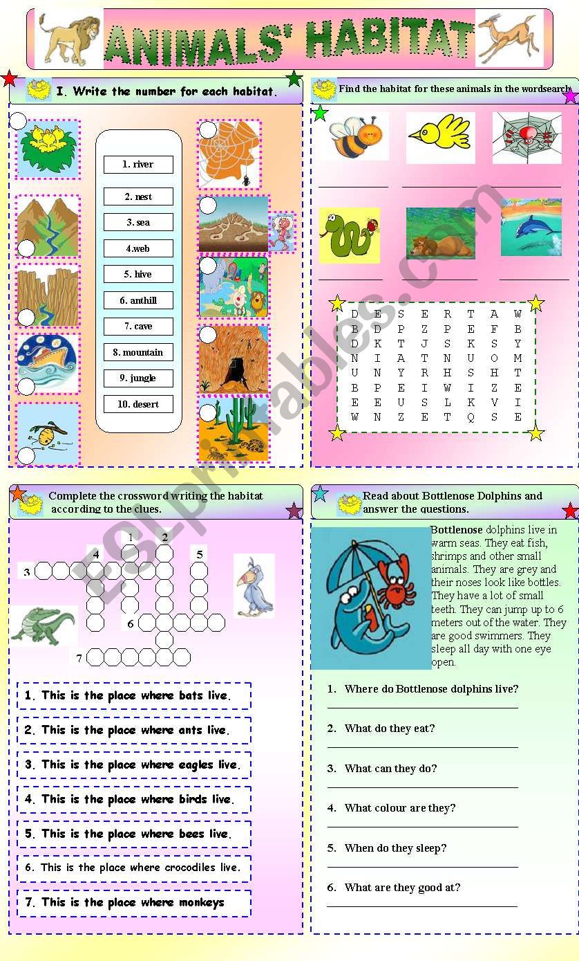 habitat of animals worksheet