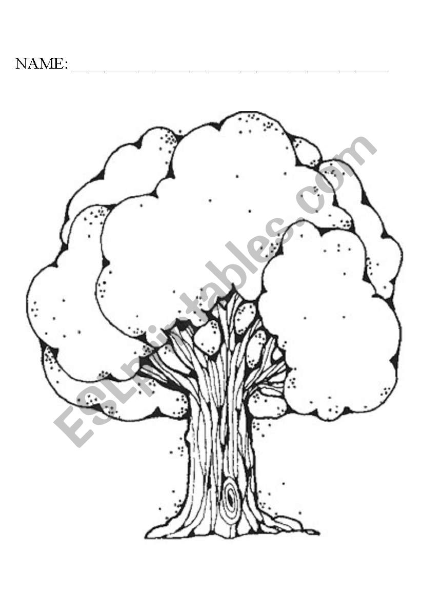 Family Tree worksheet