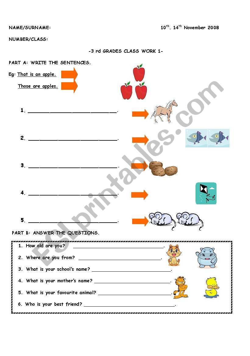 THIS/THAT, GENERAL QUESTIONS,NUMBERS,VERBS AND POSSESIVE -S WORKSHEET