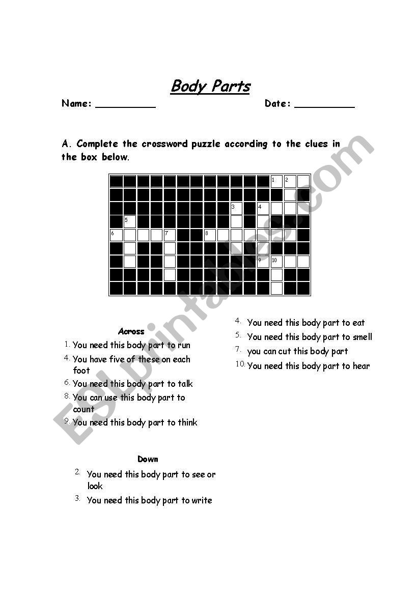 body parts - crossword puzzle + matching