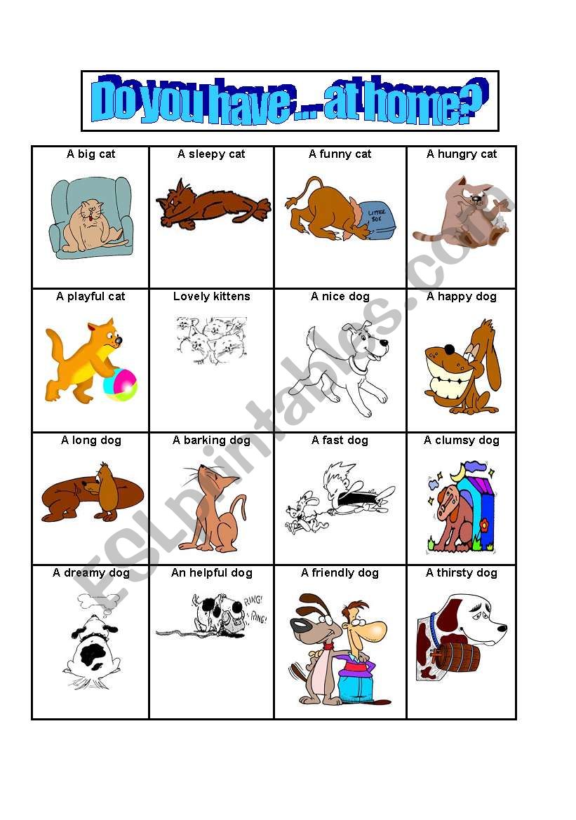 Cats and dogs worksheet