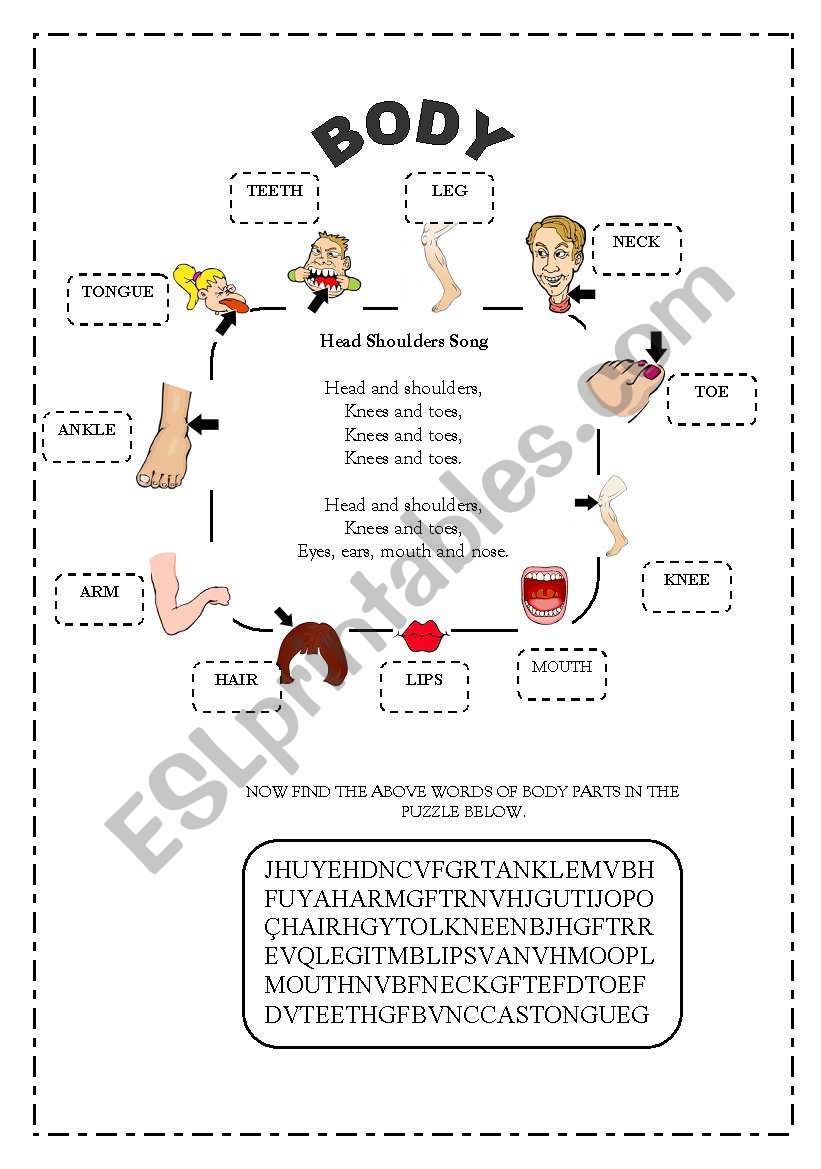 BODY worksheet