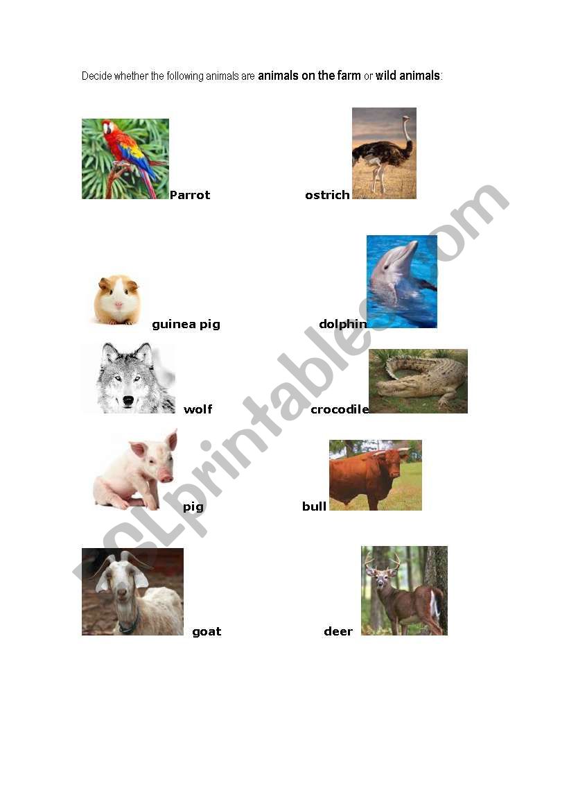 animals on the farm or wild animals