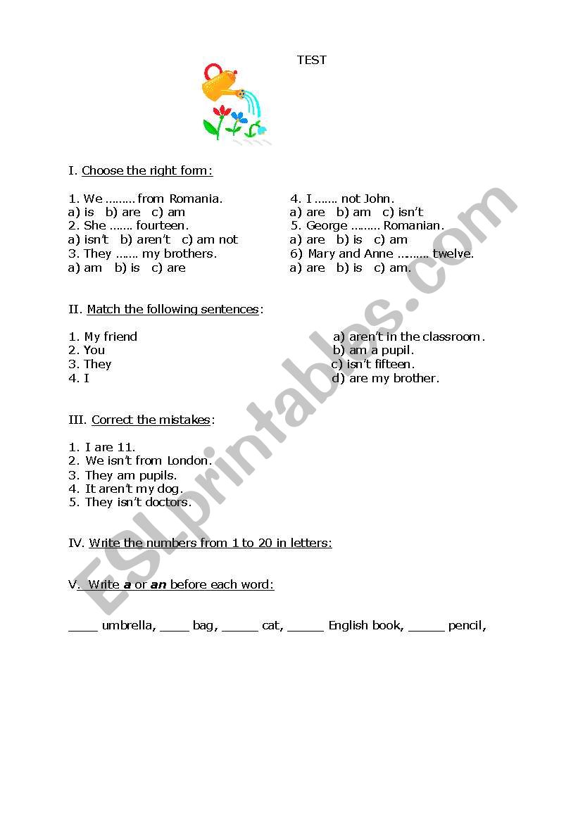 Test for beginners worksheet