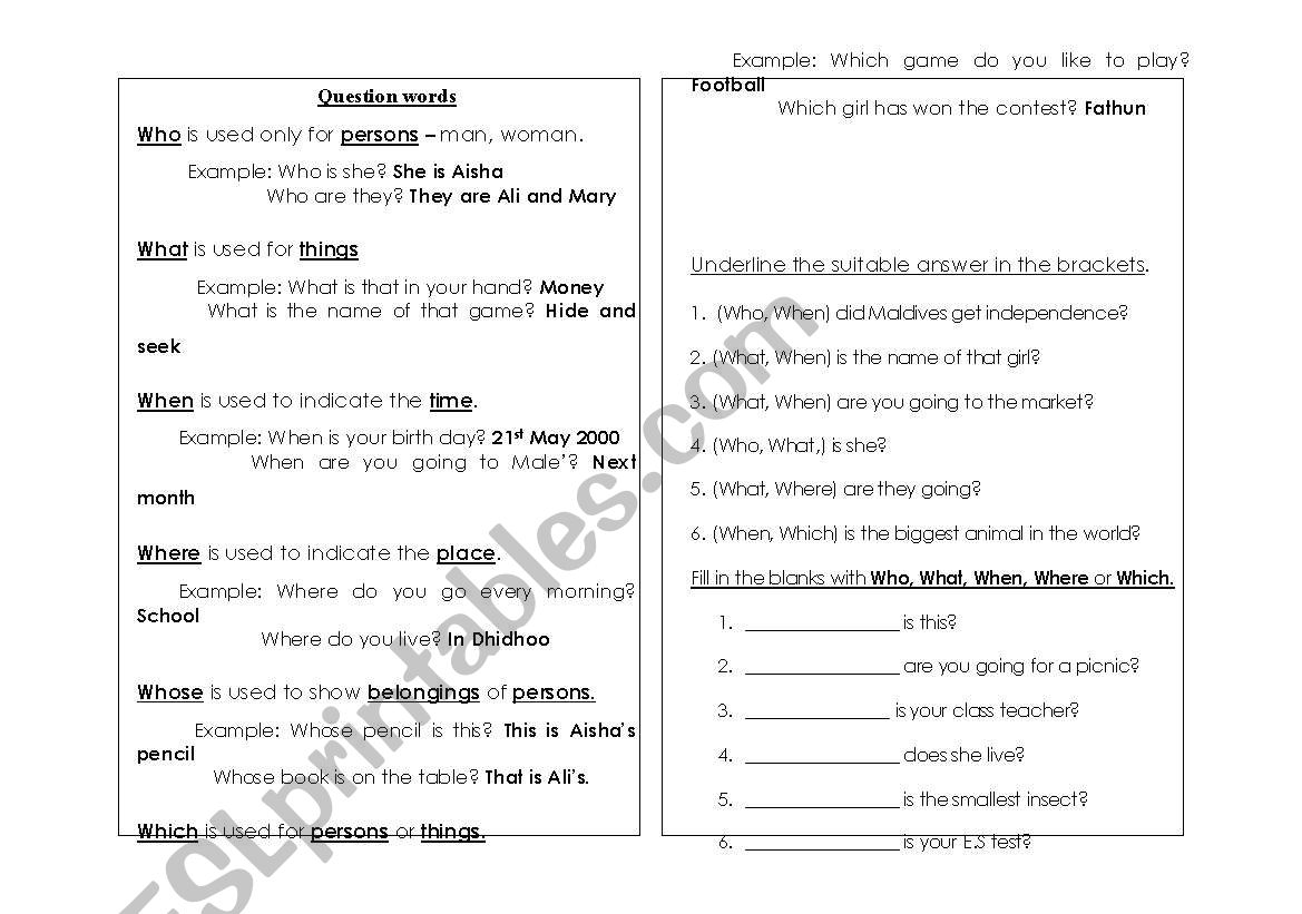 question words worksheet