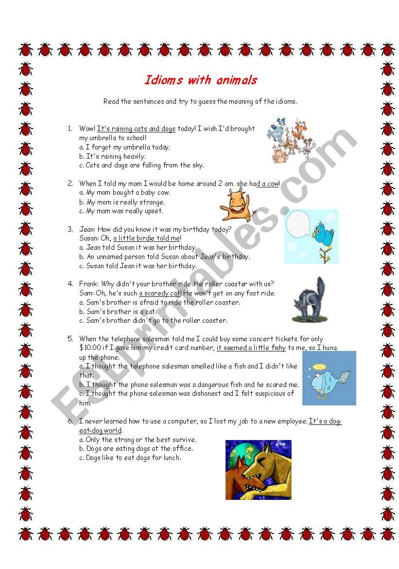 Idioms with animals worksheet