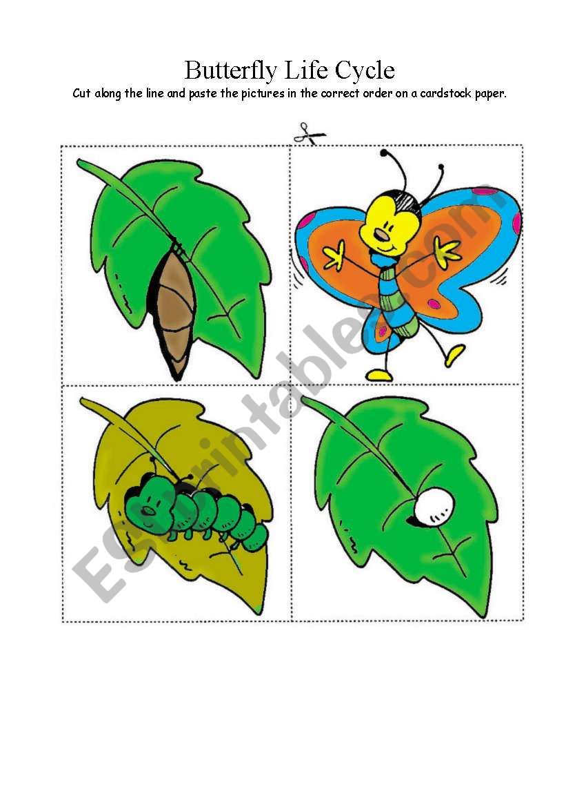 Butterfly life cycle worksheet